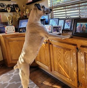 Meet your Posher, Tabitha